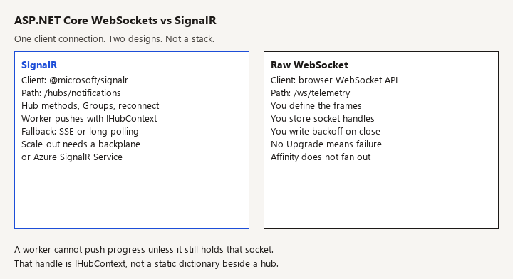 SignalR hub with groups and IHubContext, beside a raw /ws endpoint that owns the frames